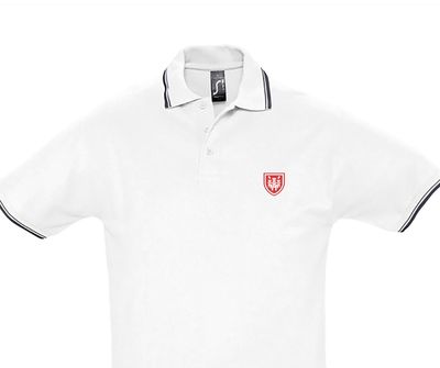 Het Steen/Wapenschild - Iconen Polo