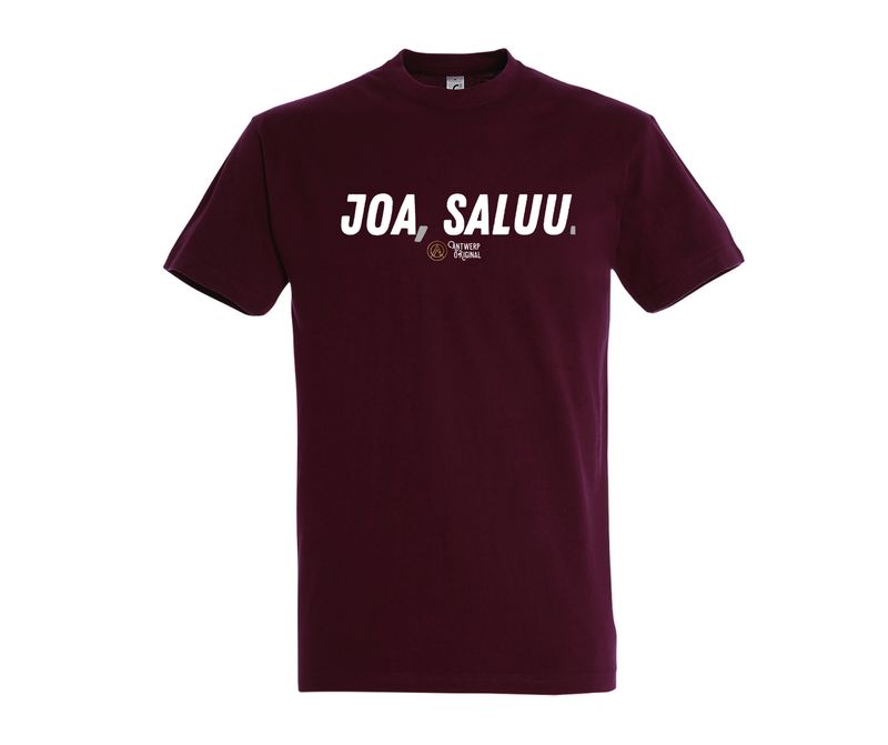 T shirt - Joa, Saluu.