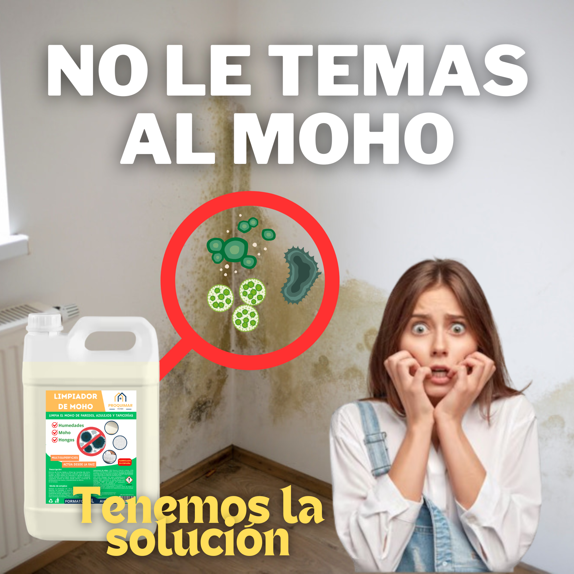 Limpiador de moho, musgo, humedades y hongos. Garrafa de 5 litros.