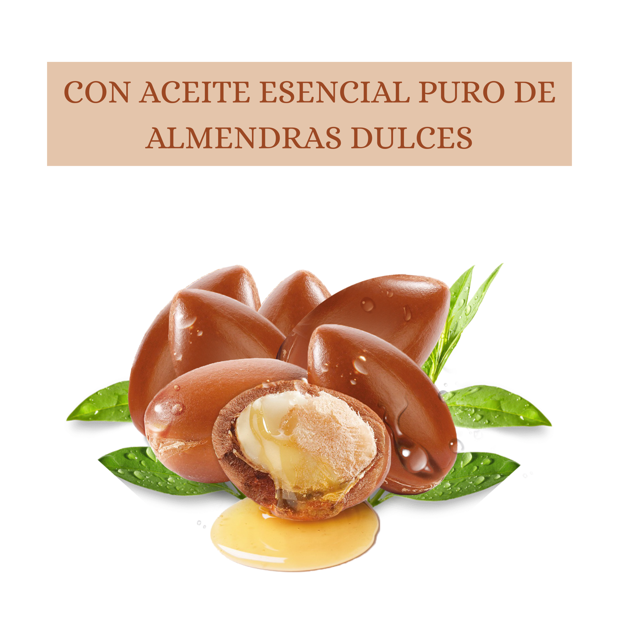 Aceite Corporal Almendras Dulces – 100% Hidratante Corporal, Masajes y Cabello – Formato Profesional 5 Litros – Piel Suave, Nutrición Profunda y Aroma Natural