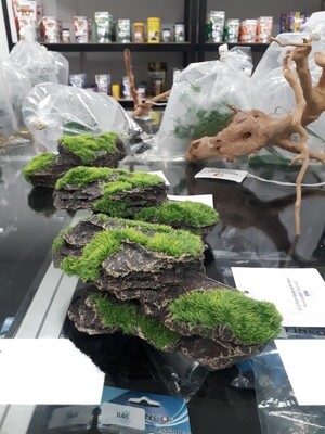 15-17cm Rock with Moss
