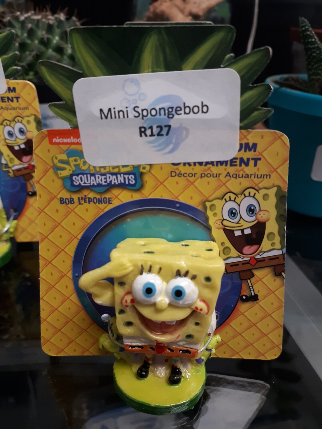 Mini Spongebob