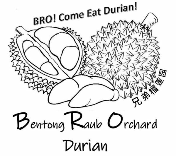 BRO Durian
