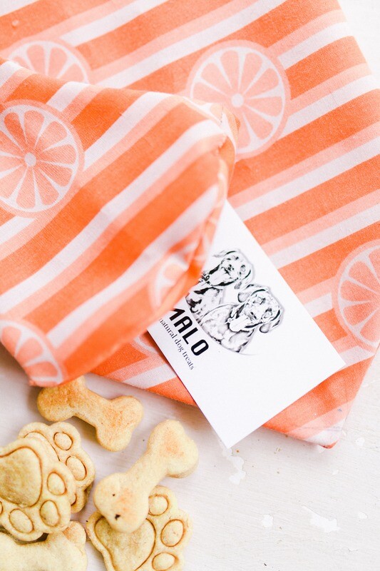 Coming Soon l Animal Bandana with Matching Mask