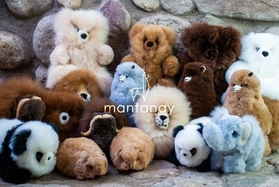 Alpaca Fur Animals