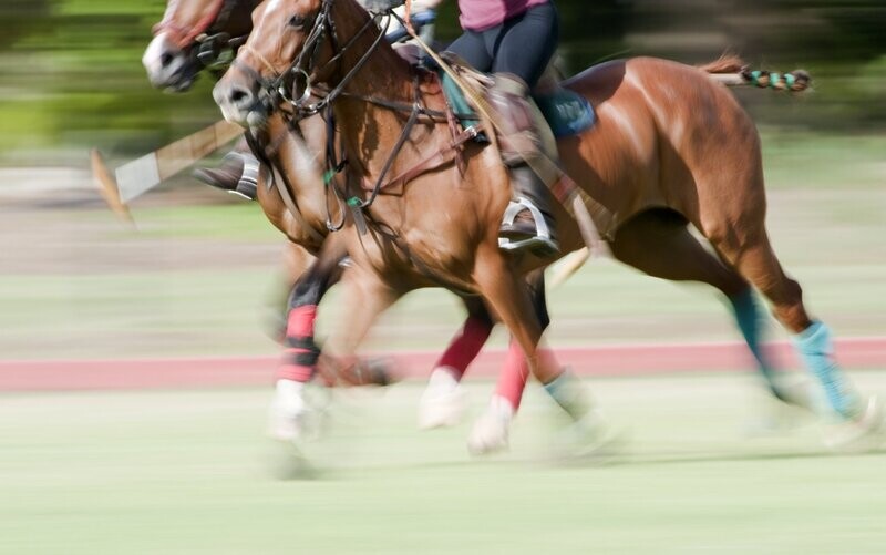 Equestrian First Aid at Work 20 Hour Level 3 (VTQ) - FAW