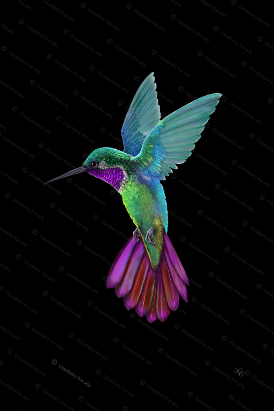 The Hummingbird