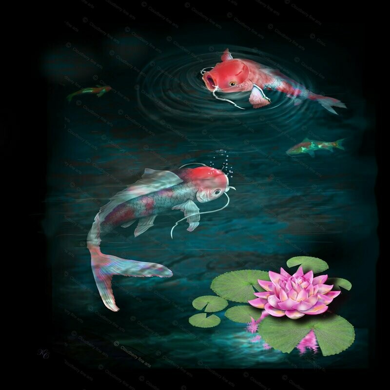 koi Carp