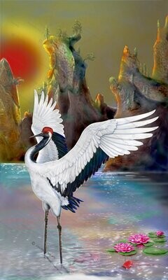 Japanese red crowned crane