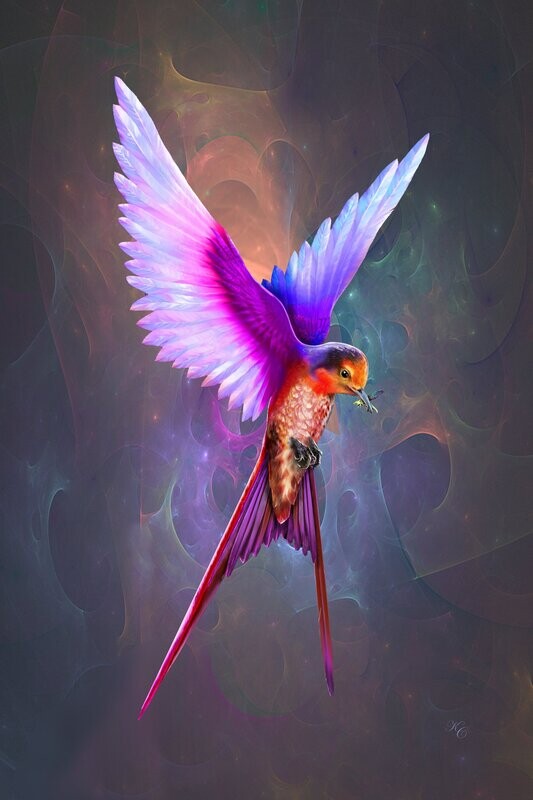 Is it a swallow?