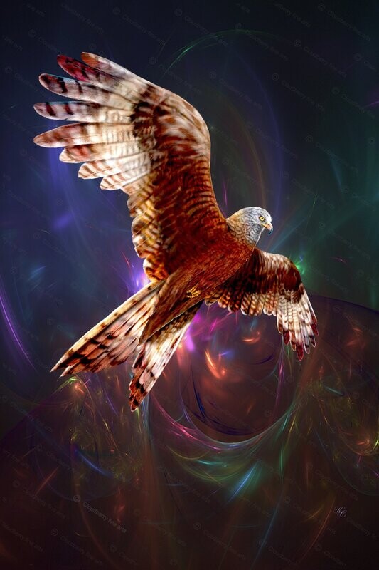 The Red Kite
