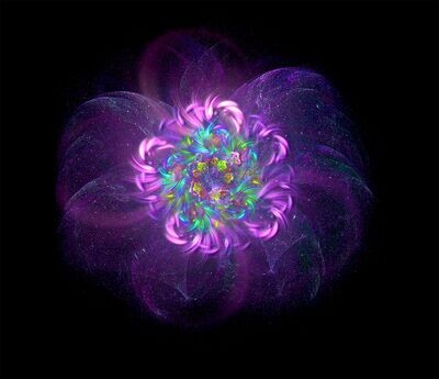 The flower in space