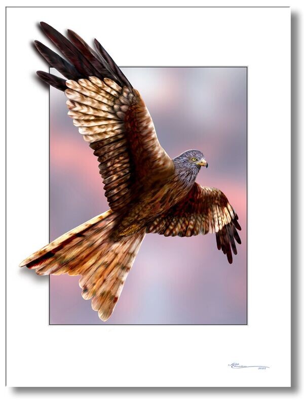 As free as a bird
