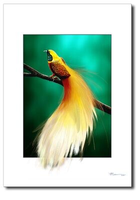 Golden bird of paradise