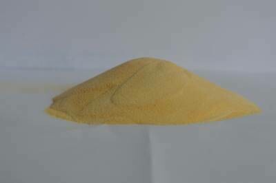 Papaya Powder