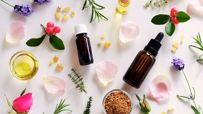 Lip flavour oils and fragrances