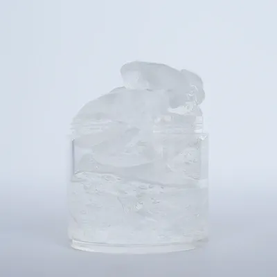 Aloevera Gel (50% Aloevera Pulp)