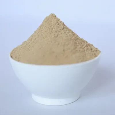 Shikakai Powder