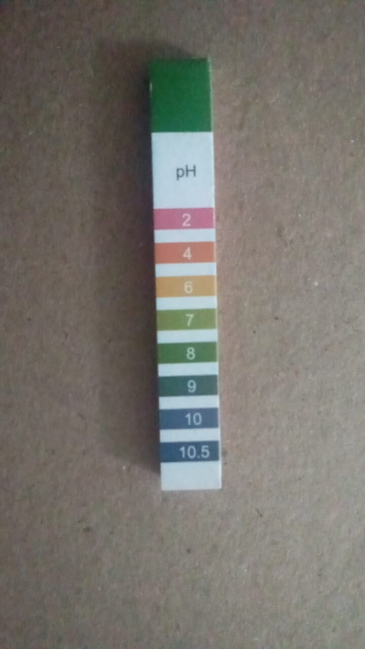 PH Strip