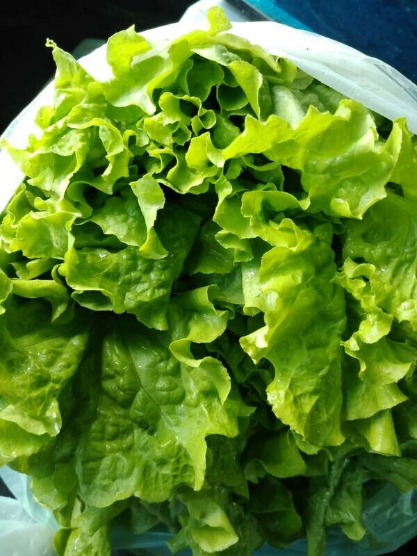 mix de ensalada