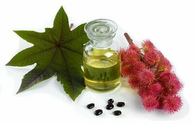 Castor Oil Products