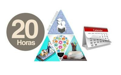 Oferta: 20 horas académicas online