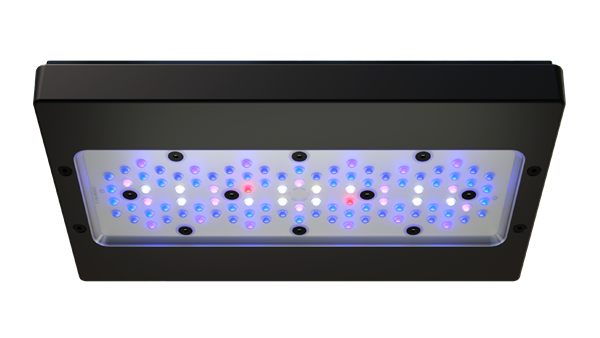 EcoTech Radion XR30 BLUE G6
