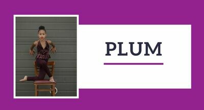 Plum Program