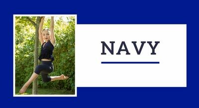 Navy Program
