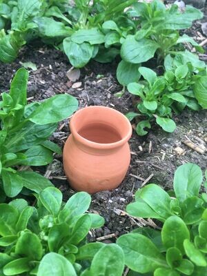 Ollas cône à planter pot et potager