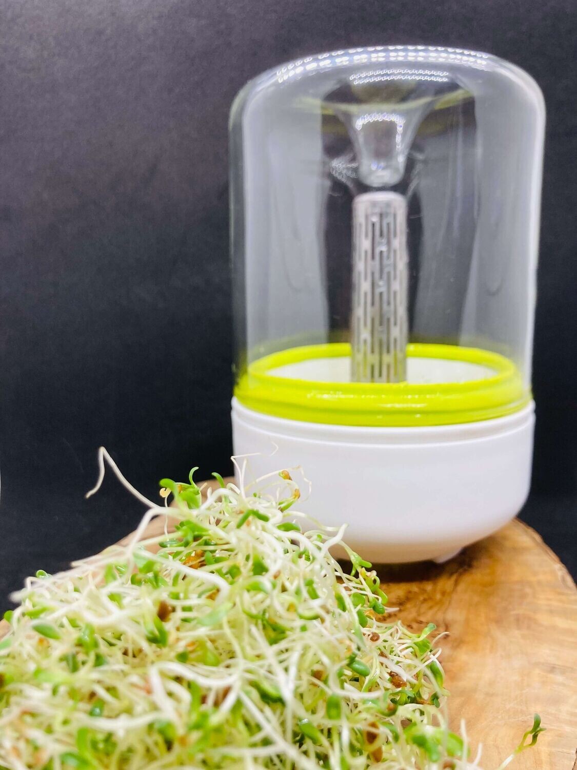 Germoir Turbo Sprout pour graines germées