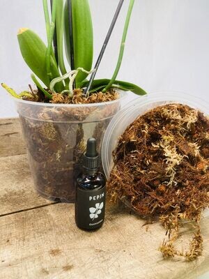 Kit de rempotage pour 2 orchidées pot 15cm+terreau+engrais