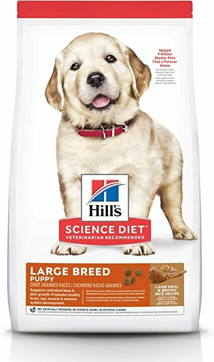 Hill&#39;s Cachorro Raza Grande 12,5 kg