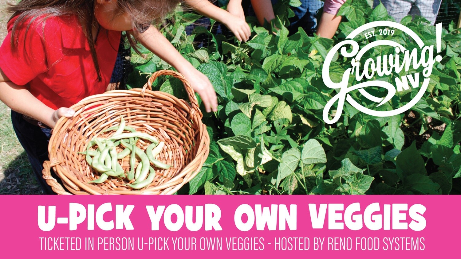 SOLD OUT! 4-6pm U-Pick Event - GrowingNV Showcases Reno Food Systems' Park Farm SOLD OUT! 4-6pm U-Pick Event - GrowingNV Showcases Reno Food Systems' Park Farm