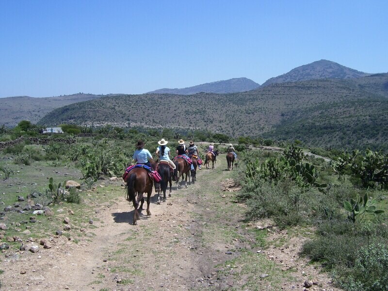 2 hrs de CABALGATA + LUNCH sin 'CASCADAS ALL-IN' 2 hrs de CABALGATA + LUNCH sin 'CASCADAS ALL-IN'