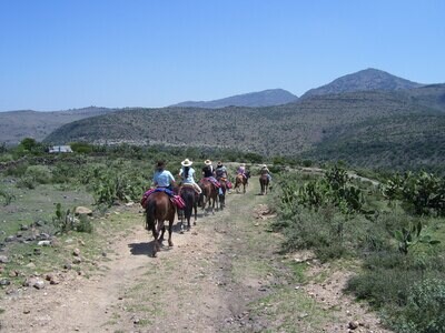 2 hrs de CABALGATA + LUNCH sin 'CASCADAS ALL-IN' 2 hrs de CABALGATA + LUNCH sin 'CASCADAS ALL-IN'