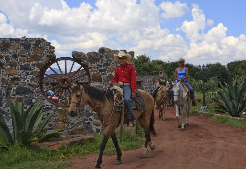 Primera Hora de CABALGATA Guiada a Campo Abierto Primera Hora de CABALGATA Guiada a Campo Abierto