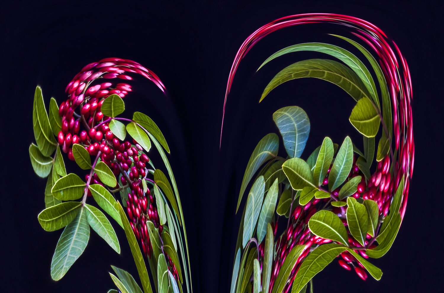 Botanical 10 Botanical 10