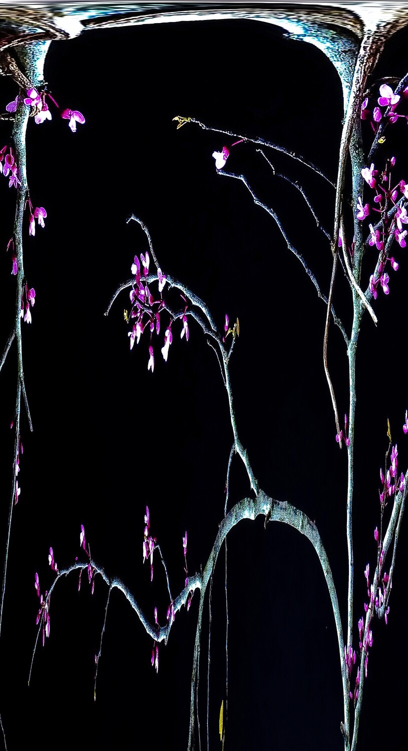 Botanical 8 Botanical 8