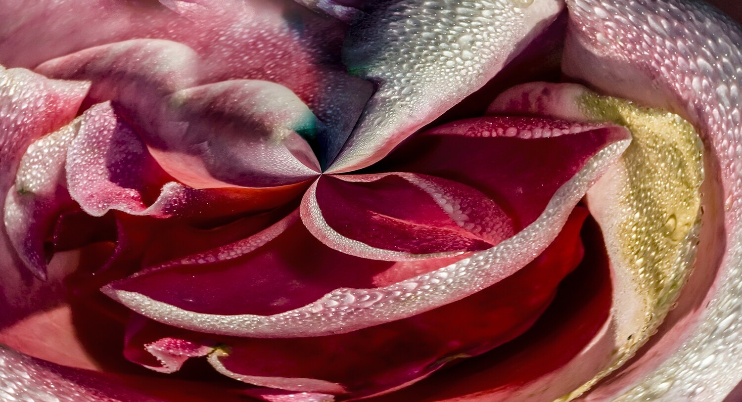 Botanical 4 Botanical 4