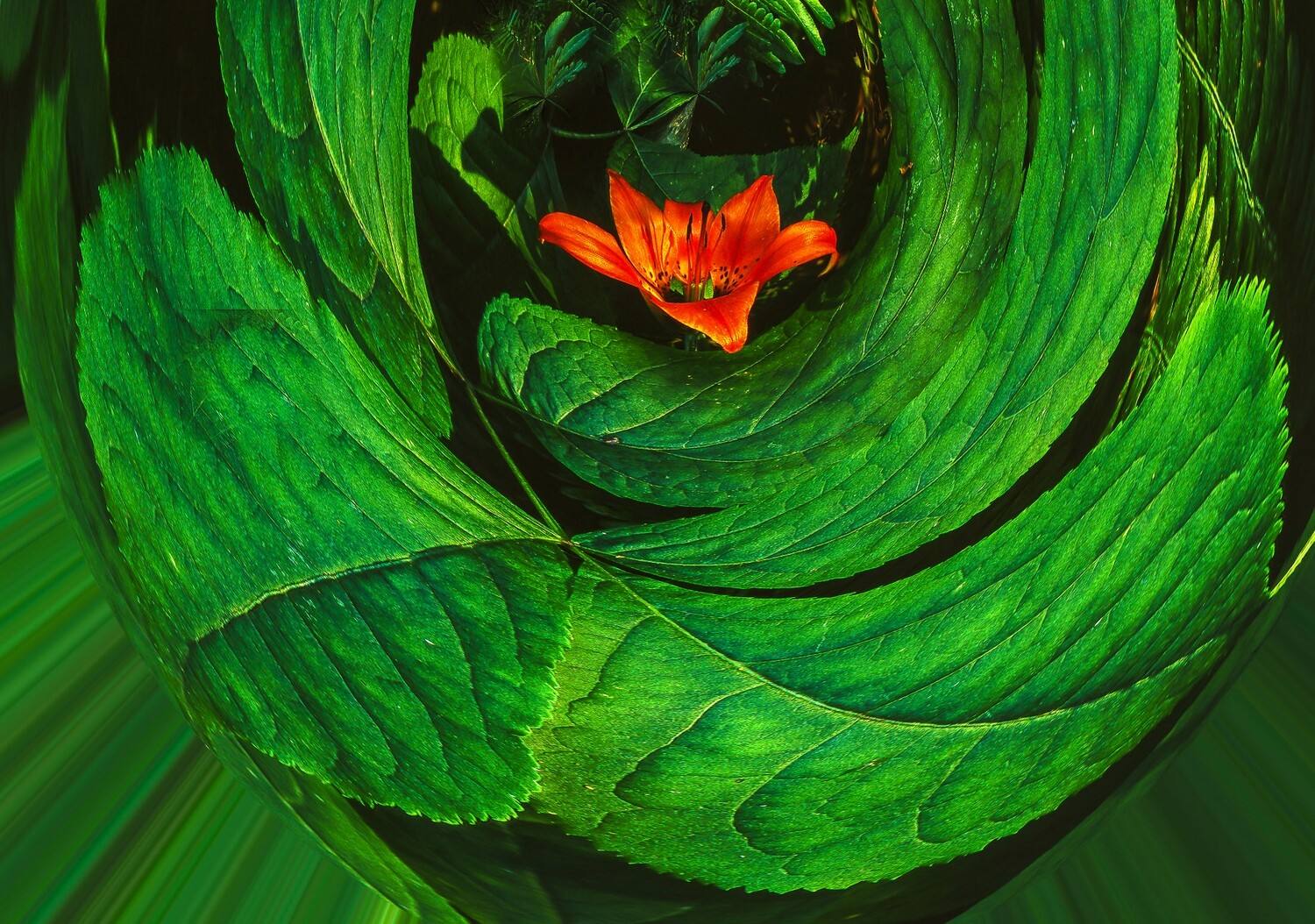 Botanical 20 Botanical 20