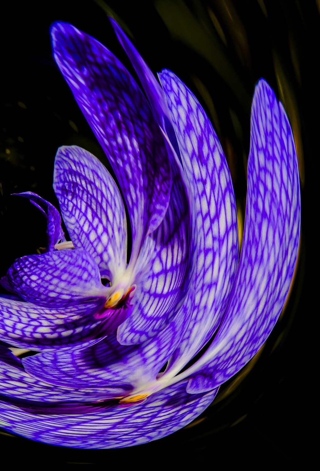 Botanical 2 Botanical 2