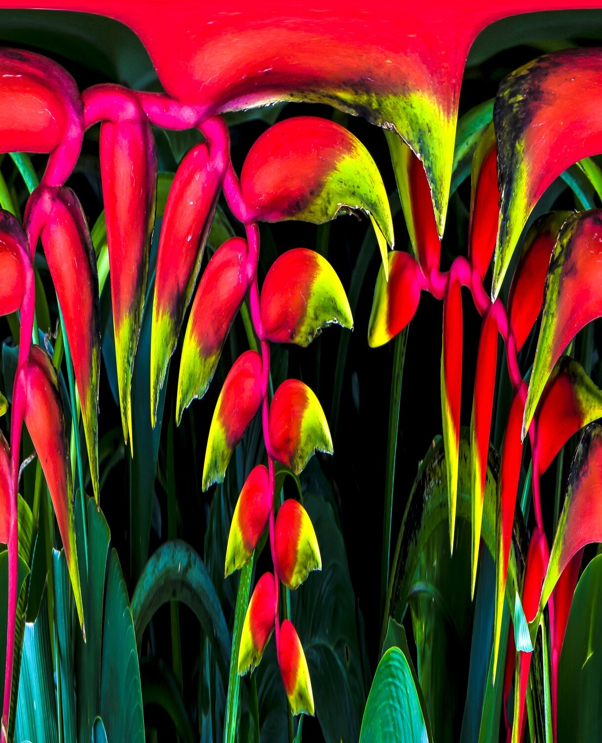 Botanical 13 Botanical 13