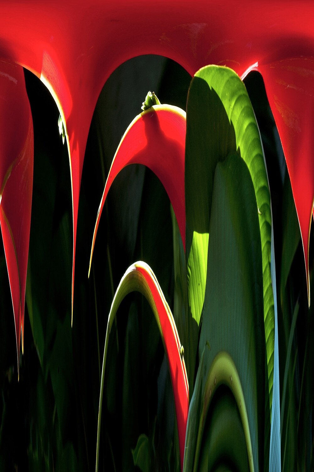 Botanical 15 Botanical 15