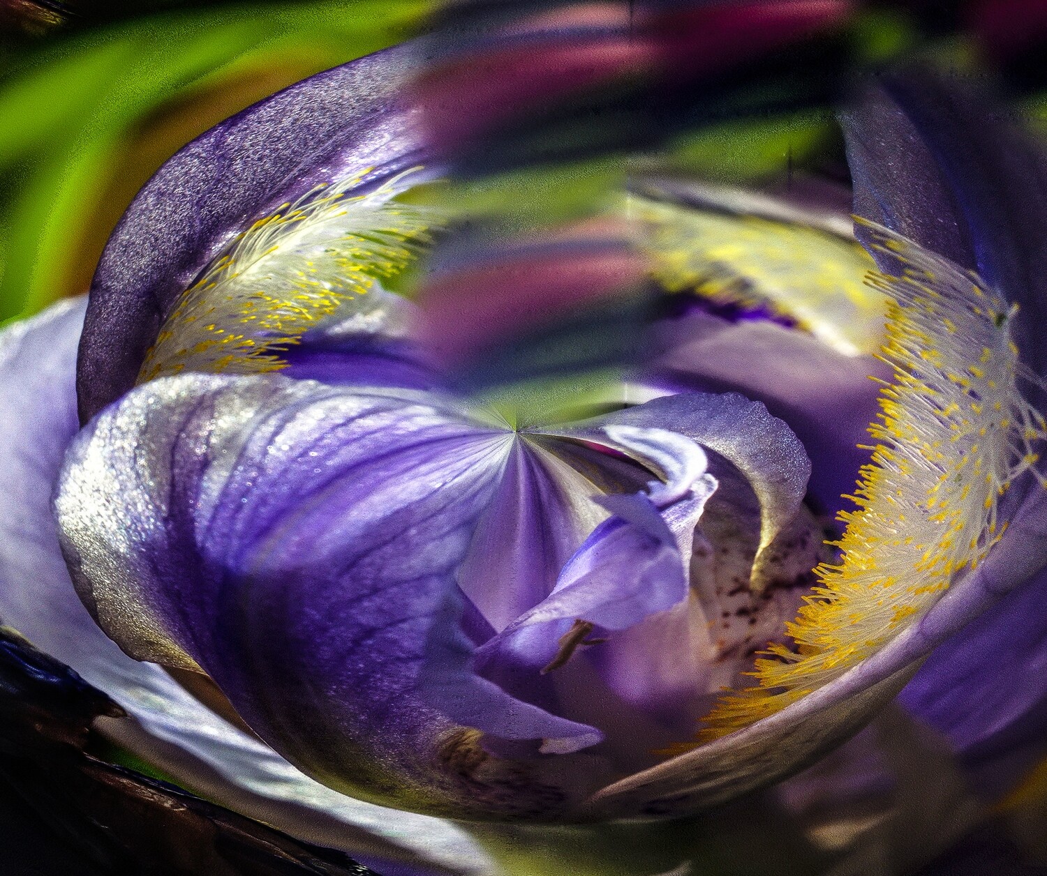 Botanical 18 Botanical 18
