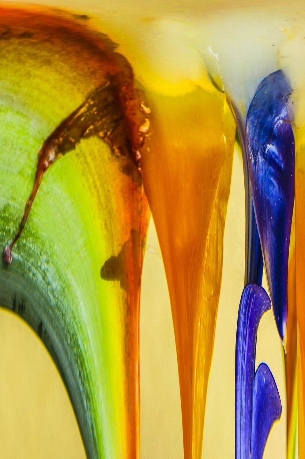 Botanical 19 Botanical 19