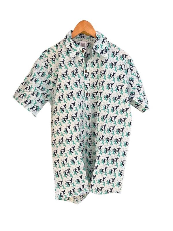 CAMISA HOMBRE