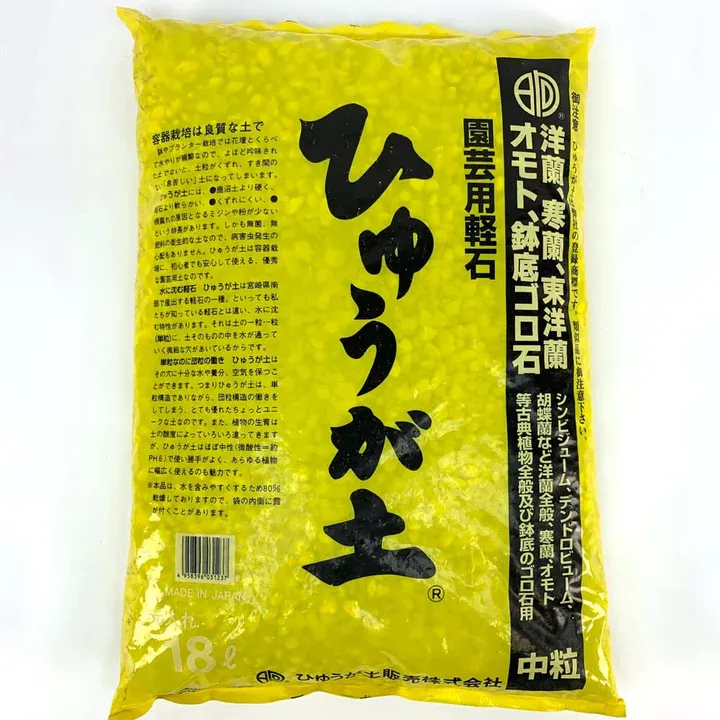 Japanese Pumice (Hyuga) small