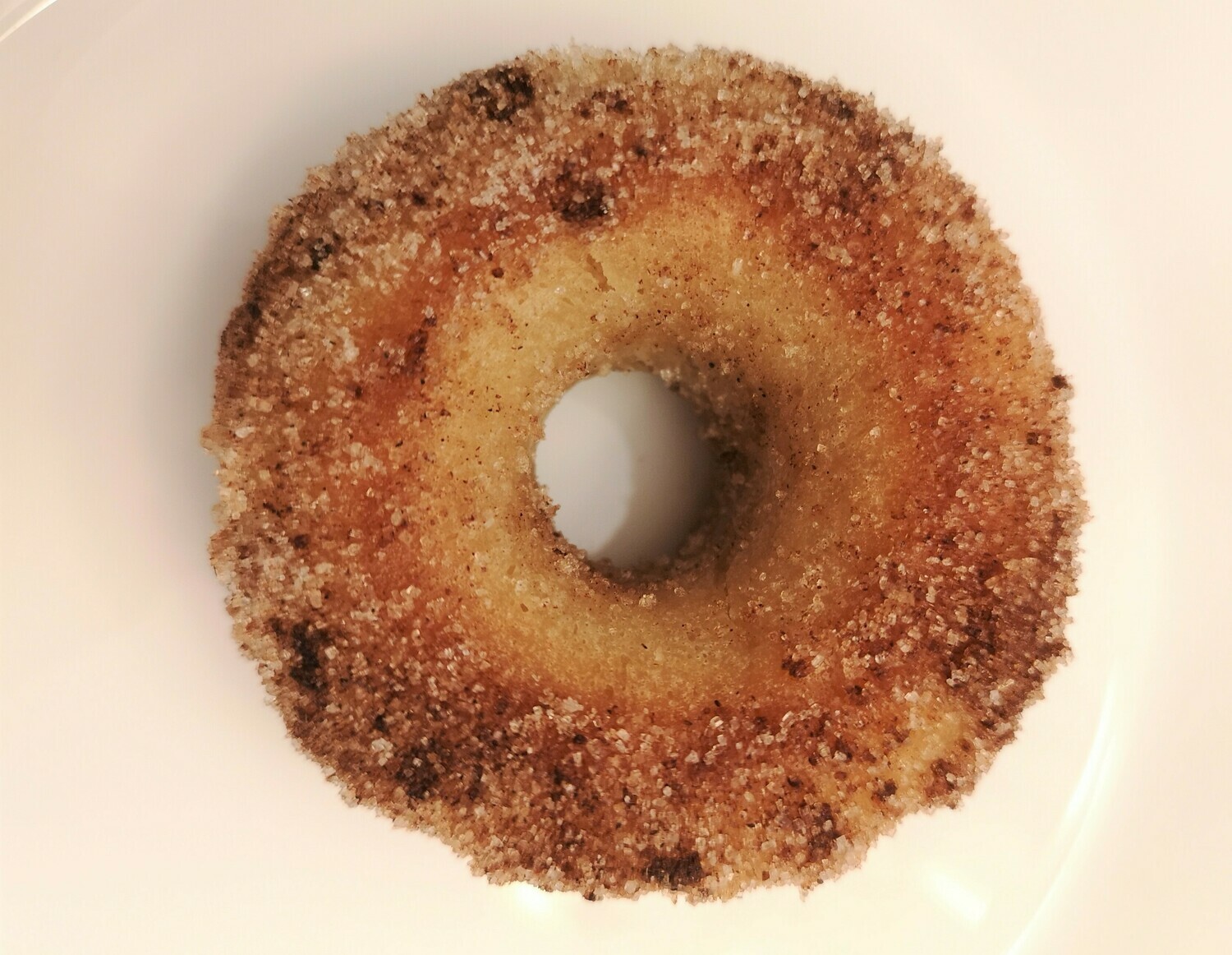 Vegan baked cinnamon donut. GLUTEN FREE available.