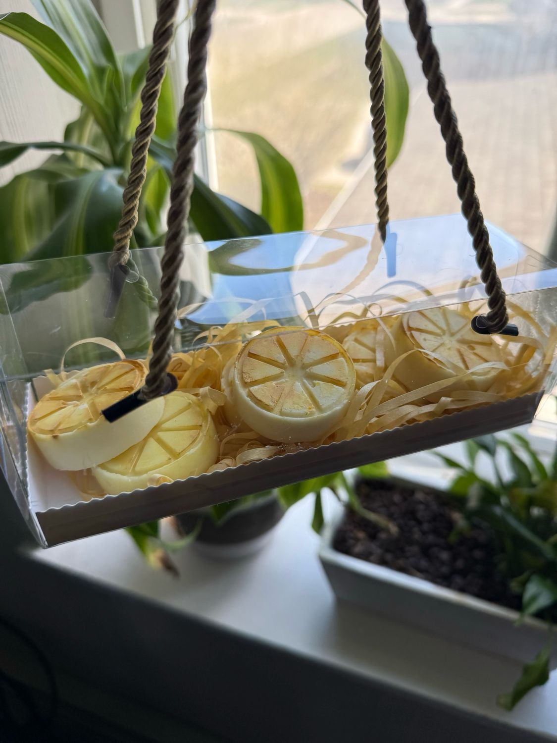 LEMON BOMB wax melts